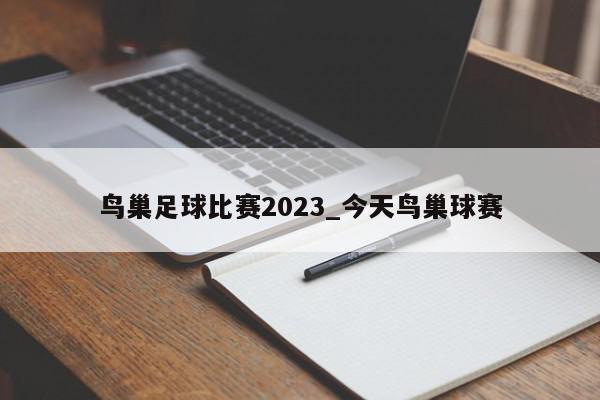 鸟巢足球比赛2023_今天鸟巢球赛