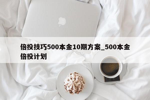 倍投技巧500本金10期方案_500本金倍投计划