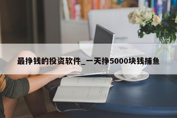 最挣钱的投资软件_一天挣5000块钱捕鱼